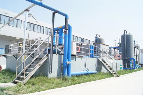 湯溝酒業榮膺“江蘇省綠色工廠”稱號，以綠色發展引領行業新風尚